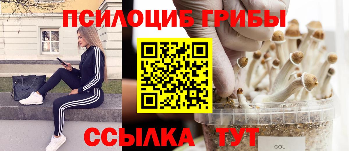 Камень-на-Оби  Псилоцибиновые грибы мицелий  Вход с VPN 